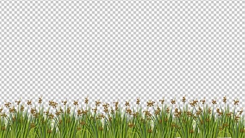 Animated Green Grass and Plants Bottom Border