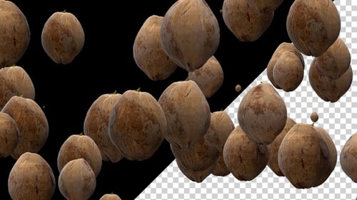 Animated Floating Coconuts Falling on Transparent Background