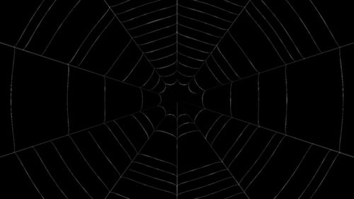 Spinnennetznetz 4K