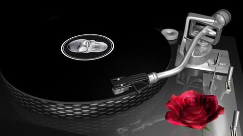 Tourne-disque Halloween - Étiquette Infernal Skull - Fleur de rose rouge - Boucle de jeu en vinyle