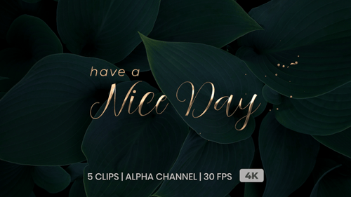 Have a Nice Day Text Animation
