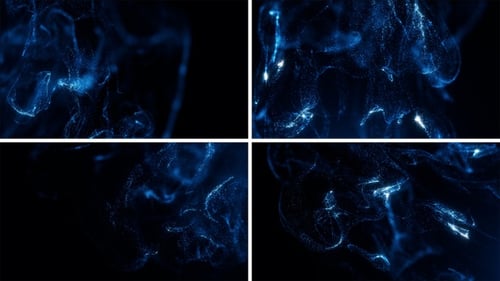 Flüssigpartikelpaket