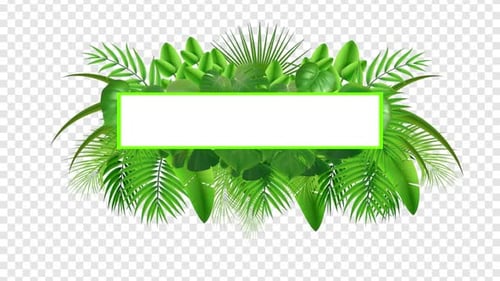 Leaves Palm Branch Image Green Leaf Pile White Space with Alpha