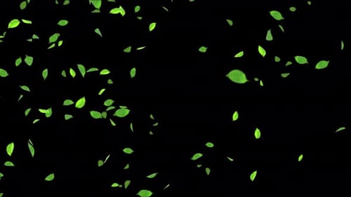 Fliegende grüne Blätter, realistische 3D-Zeitlupe.