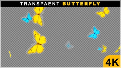 Animated Swarm of Colorful Butterflies Loop