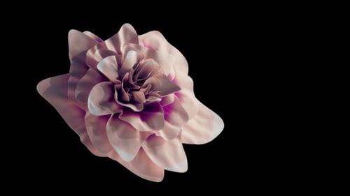 Abstract Fluid Petal Blooming Loop Animation