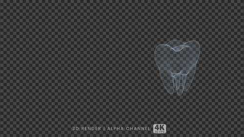 Rotating 3D Wireframe Tooth Hologram Animation