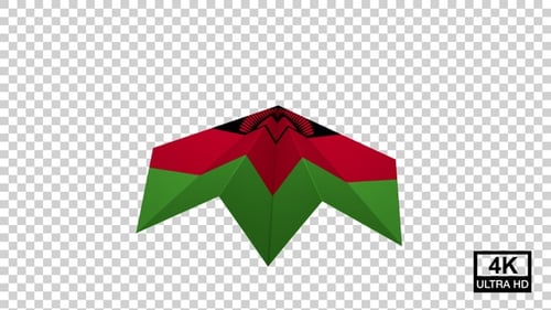 Animated Malawi Flag Origami Kite Loop