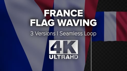 Waving French Flag Realistic Seamless Loop 4K