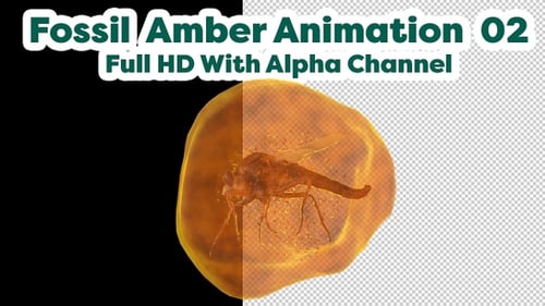 Fossil Amber with Mosquito Animation 02