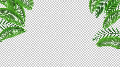 Animated Tropical Palm Leaves Natural Frame Overlay