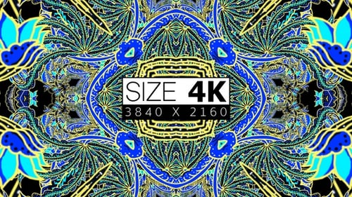 Vibrant Decorative Mandala Pattern Animation Loop