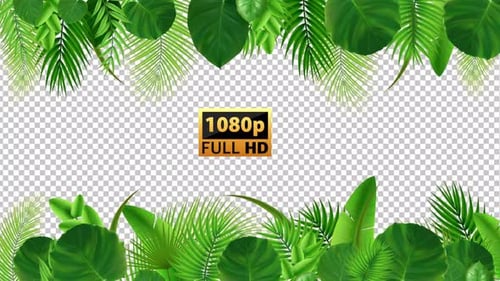 Tropical Leaf Background New | Alpha Channel