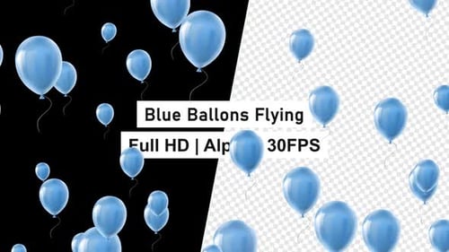 Birthday Balloon Flying Helium Blue Balloons Alpha