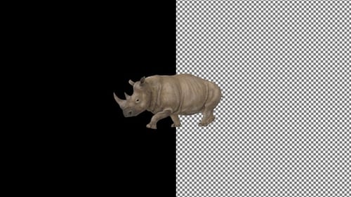Rhinoceros approaches from right to left, Exclusive, Alpha Channel