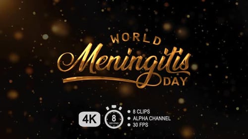 Golden Script Calligraphy Text Reveal