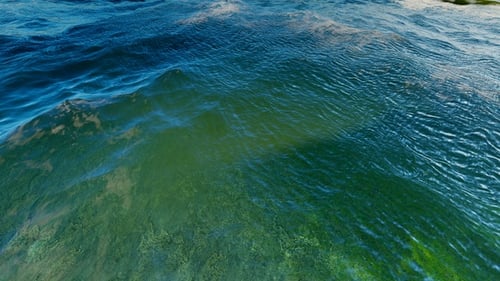 Flying Over The Sea With An Island