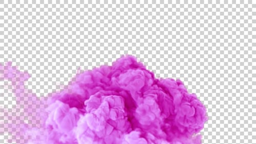 Organic Pink Smoke Cloud Burst Animation