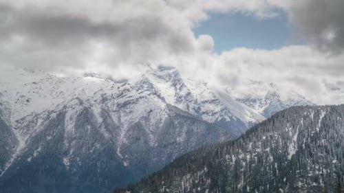 8K High Snowy Mountain Peak Behind the Forest