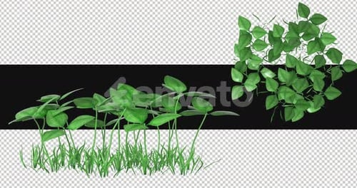 Pack Of 2 Clover Flowers Moving In The Wind On Alpha Loop