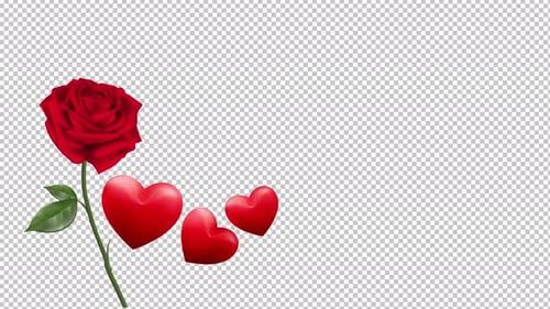 Romantic Animated Red Rose and Beating Hearts