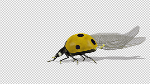 Ladybug Stand Idle