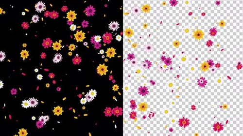 Colorful Decorative Flowers and Petals Falling Seamless Loop