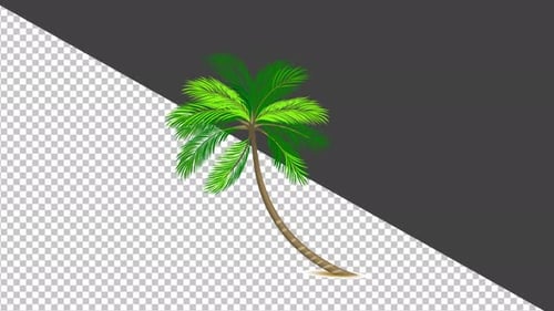 Animated Swaying Tropical Palm Tree