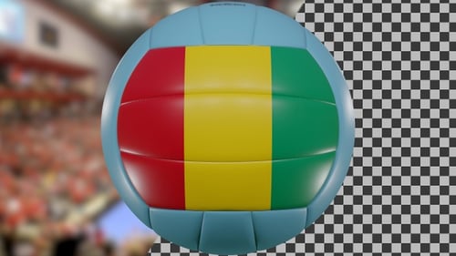Volleyball Spinning Guinea | UHD | 60fps