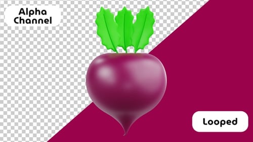3D Animated Beet Vegetable Element with Alpha Channel