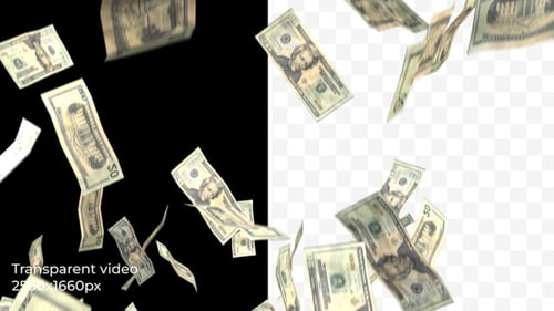 Falling Money Dollars Animation (2 K, Transparent)