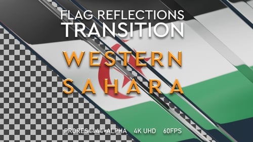Flag of Sahrawi transition | UHD | 60fps