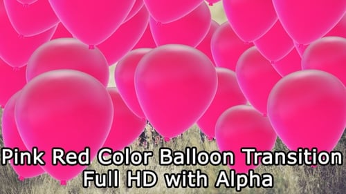 Rosa Rot Ballon Transition Full HD