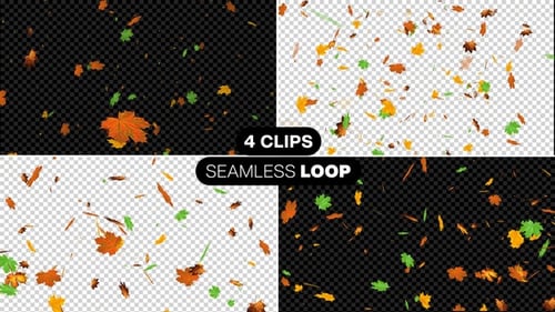 Autumn Leaf Falling Pack V3