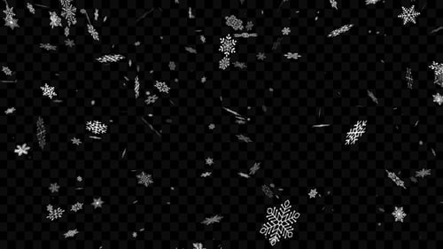 Falling Snowflakes