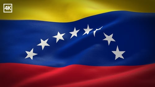 Seamless Loop of Waving Venezuela Flag