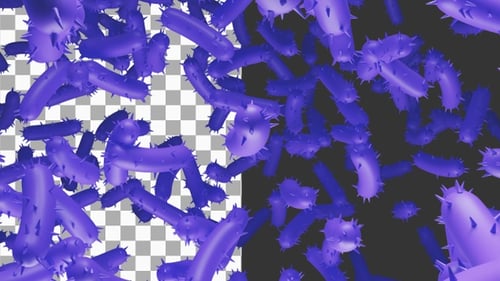 3D Animation of Microscopic View Bacteria Cells | Alpha Channel