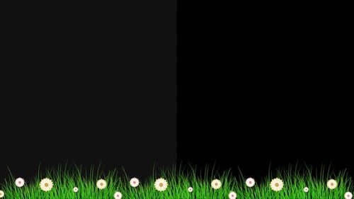 Animated Green Grass and Daisy Flowers Border Overlay