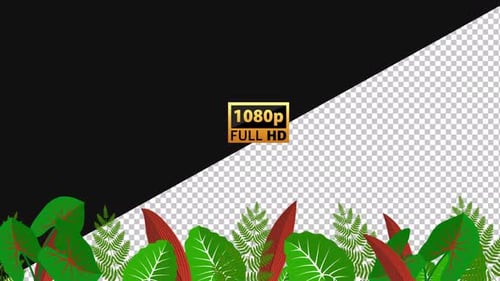 Tropischer Hintergrund 1 | Alpha Channel