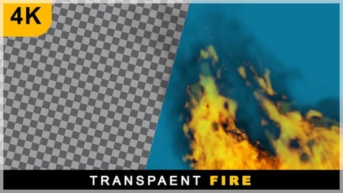 Realistic Burning Fire Flames Animation Element