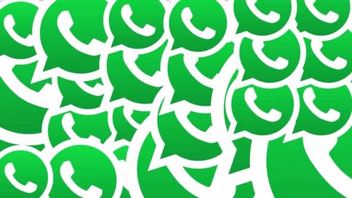 WhatsApp Transition