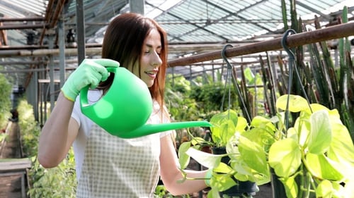 Woman Watering Plants in Greenhouse Garden