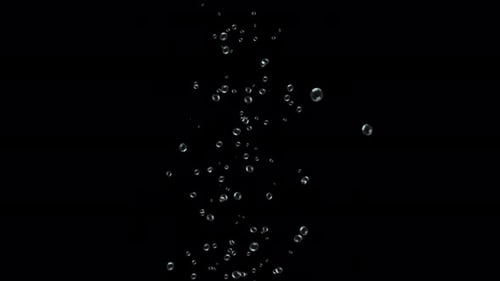 water Bubbles are filled with carbon dioxide and float upwards.