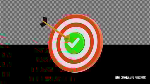 3D Target Animation | Alpha Loop