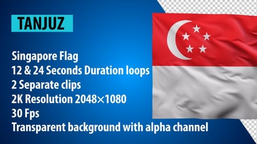 Realistic Waving Singapore Flag Animation with Transparent Alpha Channel