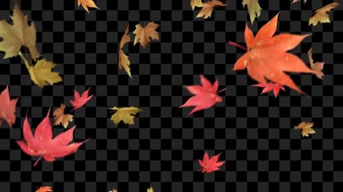 Autumn Leaves Season Overlays