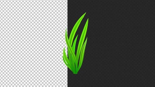 Animated Green Grass Swaying Element