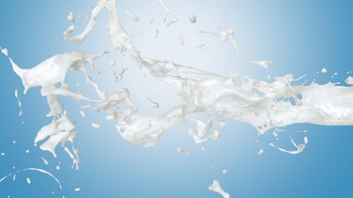 Frischmilch Splash V4