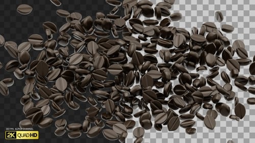 3D Coffee Beans Falling | Alpha Channel