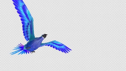 Phoenix Bird - Cyan Blue - Flying Transition II